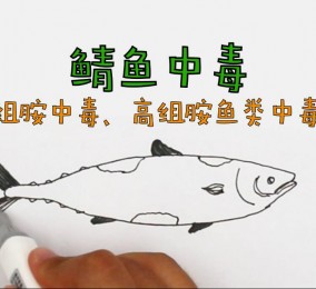 食品有意思：鯖魚中毒是怎么回事？ 