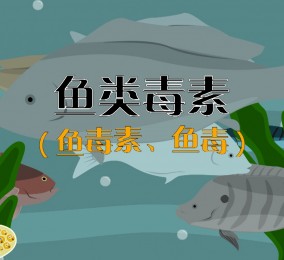 食品有意思：吃魚也中毒？ 