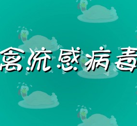 食品有意思：如何預防禽流感病毒感染？ 