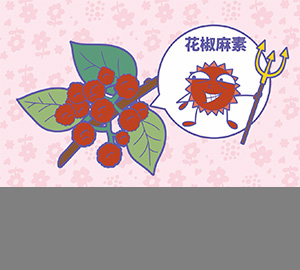 科普視頻：花椒為什么那么麻？（匹配百科詞條：花椒、花椒麻素）