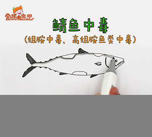 科普視頻:鯖魚中毒是怎么回事？