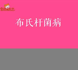 科普視頻:小心布氏桿菌?。? style=