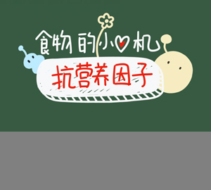 科普視頻：為什么沒煮開的豆?jié){不能喝？抗?fàn)I養(yǎng)因子暴露了食物的小心機